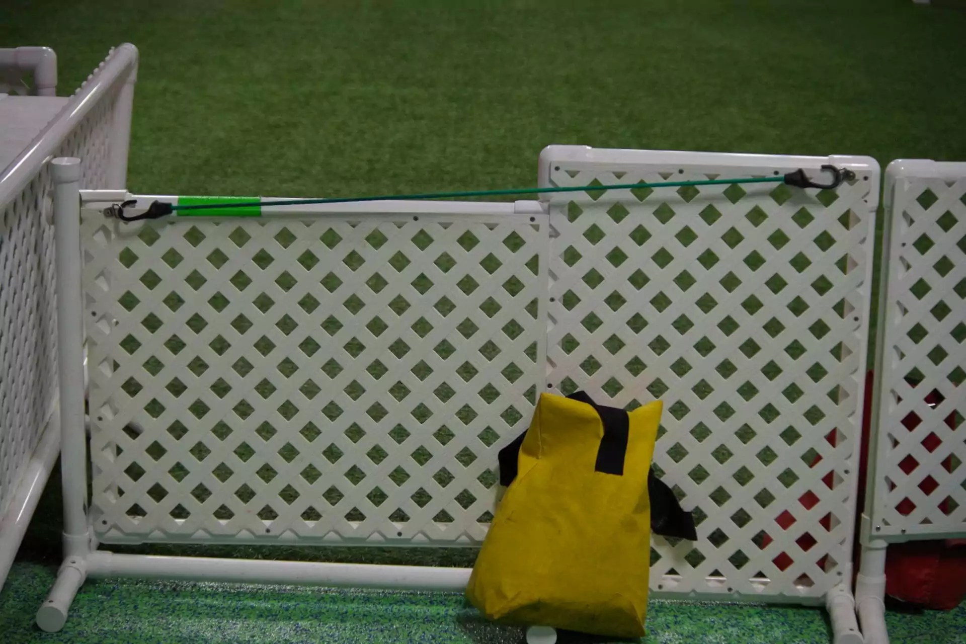 Agility Rings TNT Dog Dog Center Midland MI Dog Agility Trials