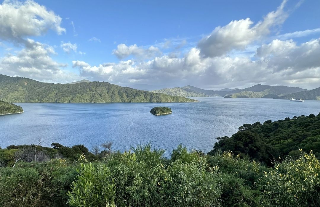 Picton to Waikawa Track DOGALONG NZ