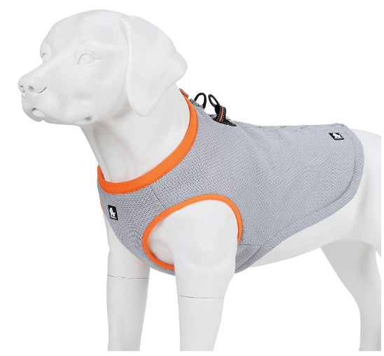 Best Dog Cooling Vest Reviews Keep your pet comfy