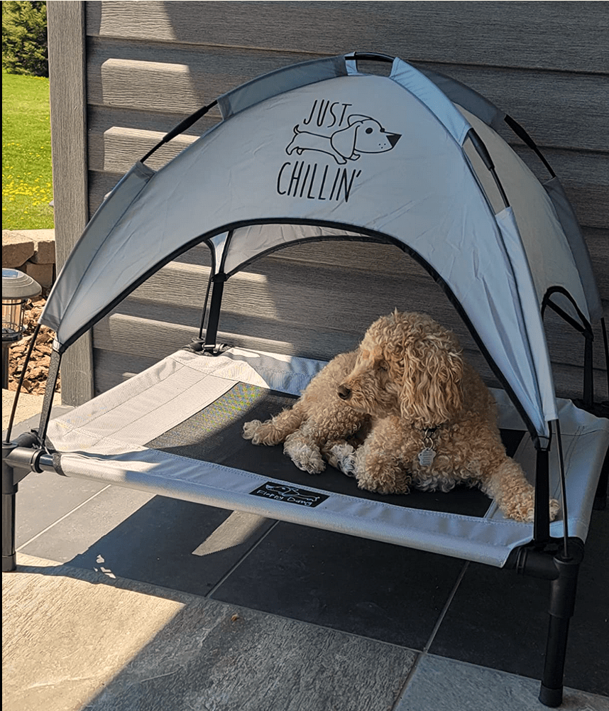 Awesome Dog Cot for the Outdoors Dog Bed 360