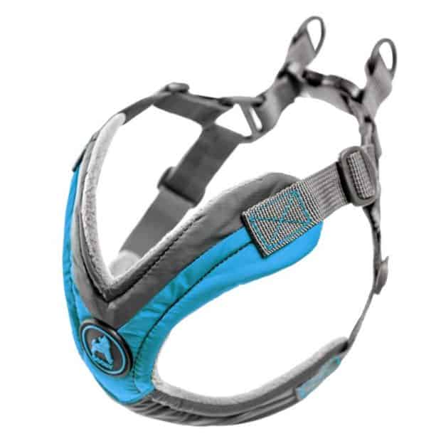 Top 5 Best Harness For Golden Retrievers 2022 Reviews & Buyer's Guide