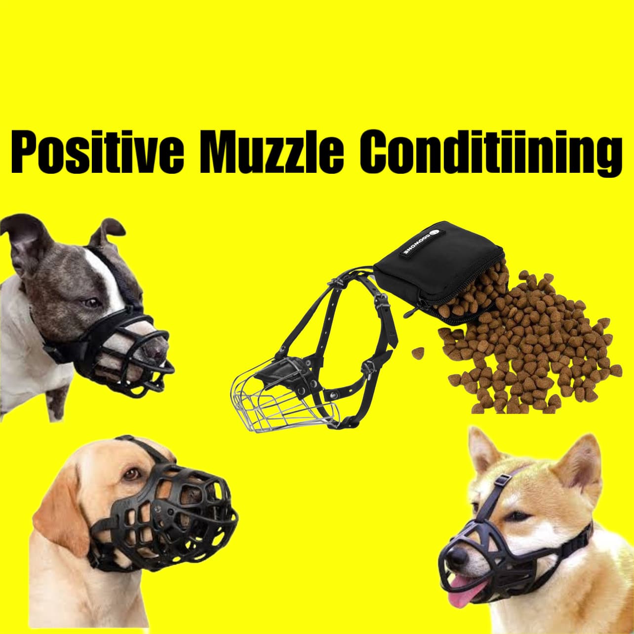 The Comprehensive Guide to Positive Muzzle Training for Dogs Stepby
