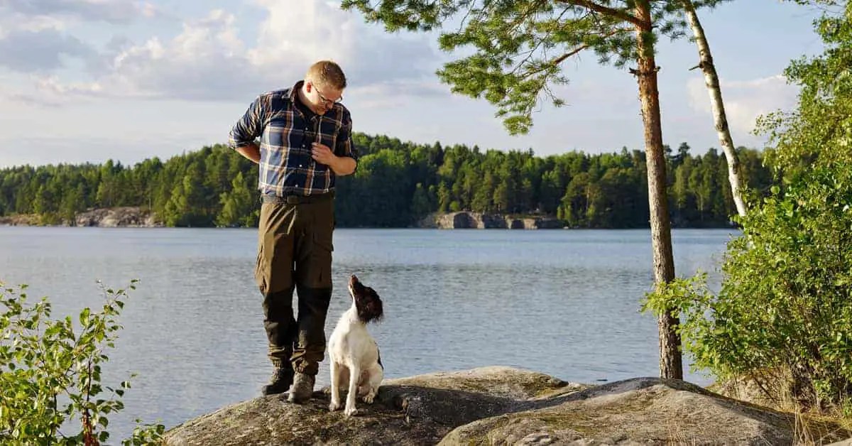10 Tips For Puppy Sitting The Essential Guide