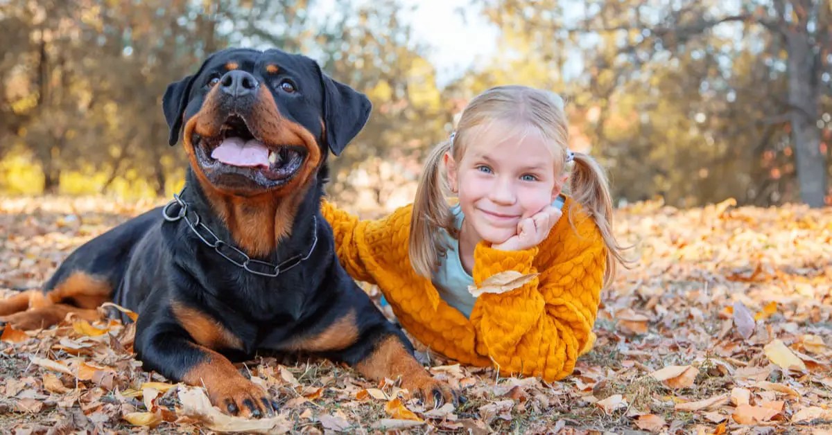 Are Rottweilers Good With Kids?