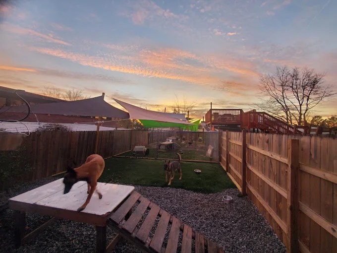 Home Dog Boarding Marietta