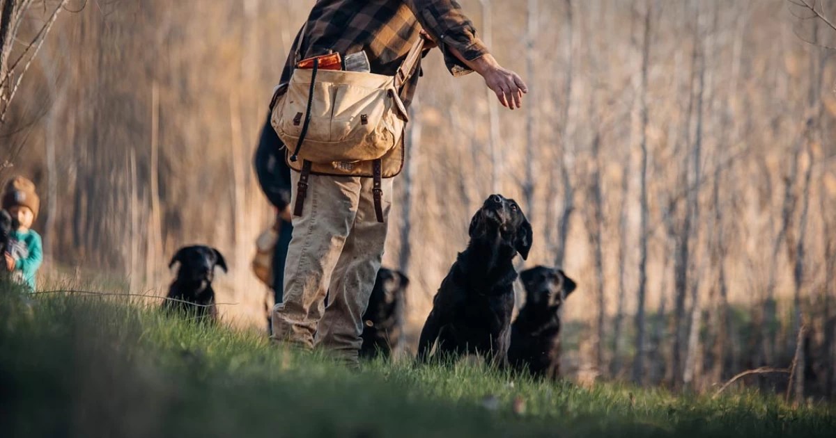 Explore DogBone Hunter