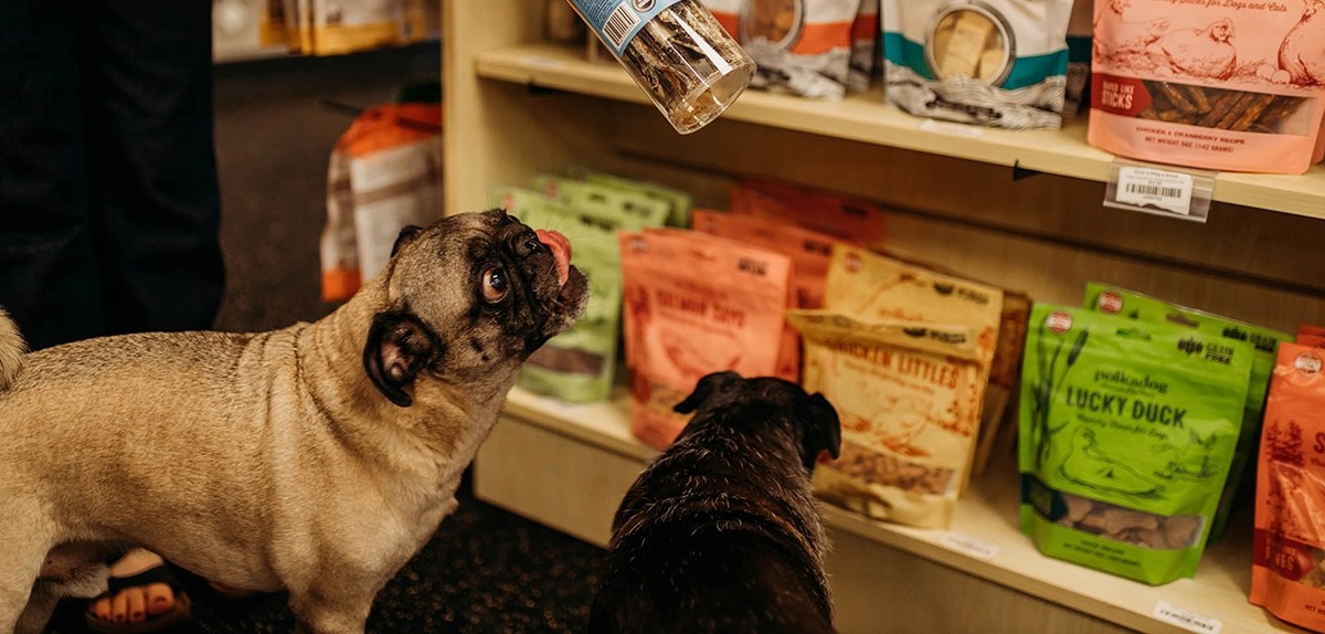 Natural Pet Food and Supplies in Evansville IN Give a Dog a Bone