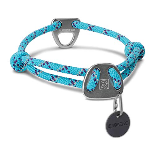 Top 10 Best Dog Collar Brands Best Dog Collars Review