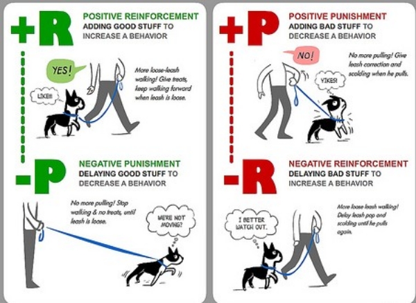 Negative Reinforcement dog training method Dog Breeders Guide