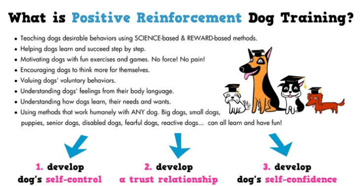 Positive Reinforcement dog training method Dog Breeders Guide