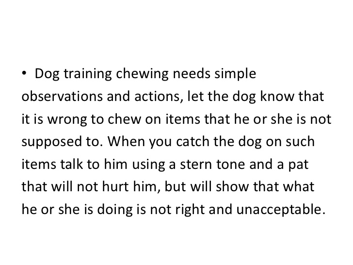 dog training tips Dog Breeders Guide