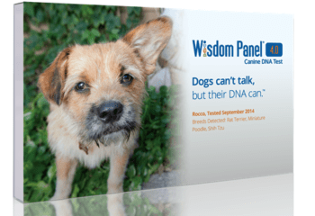 difference between wisdom panel 3.0 and 4.0