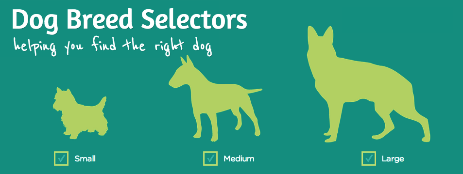 purina dog breed selector