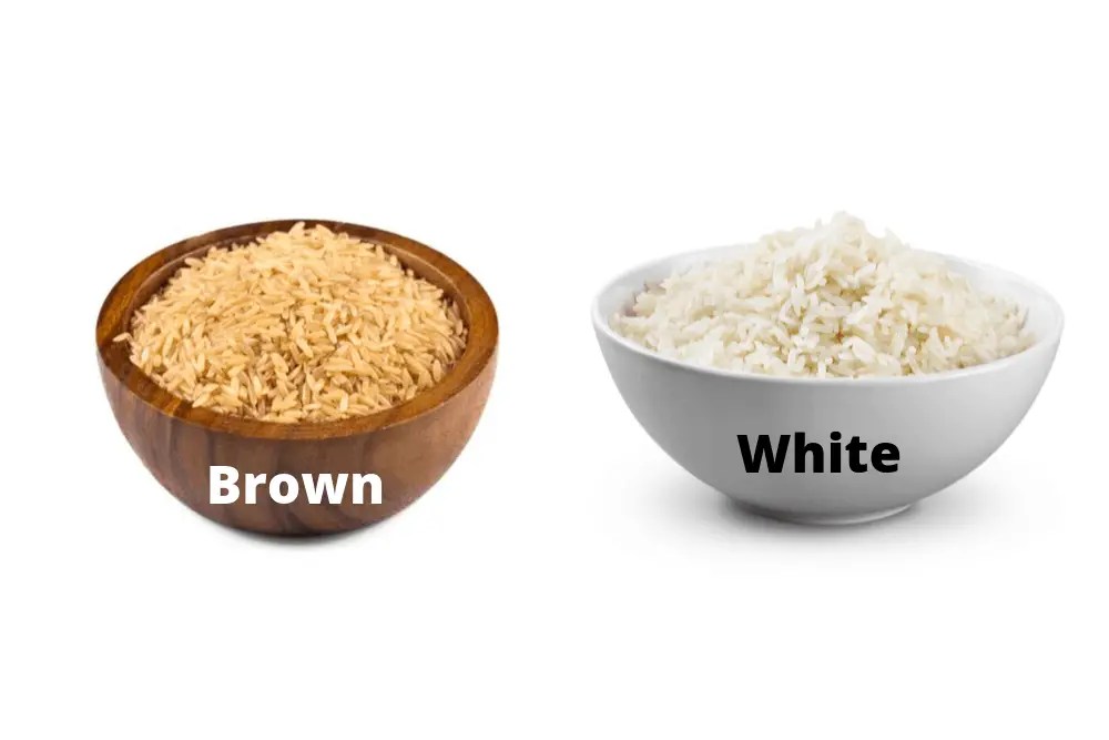 Is Brown Or White Rice Better For Dogs