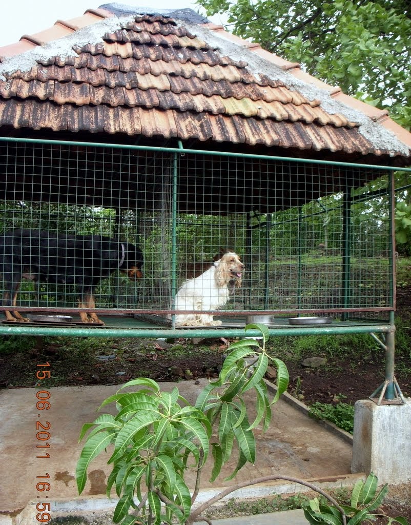Sai Malhar Dog Care Center