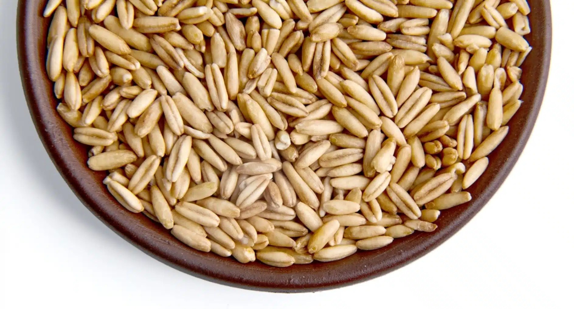 Can Dogs Eat Wild Rice? Everything You Need to Know DogCareLife