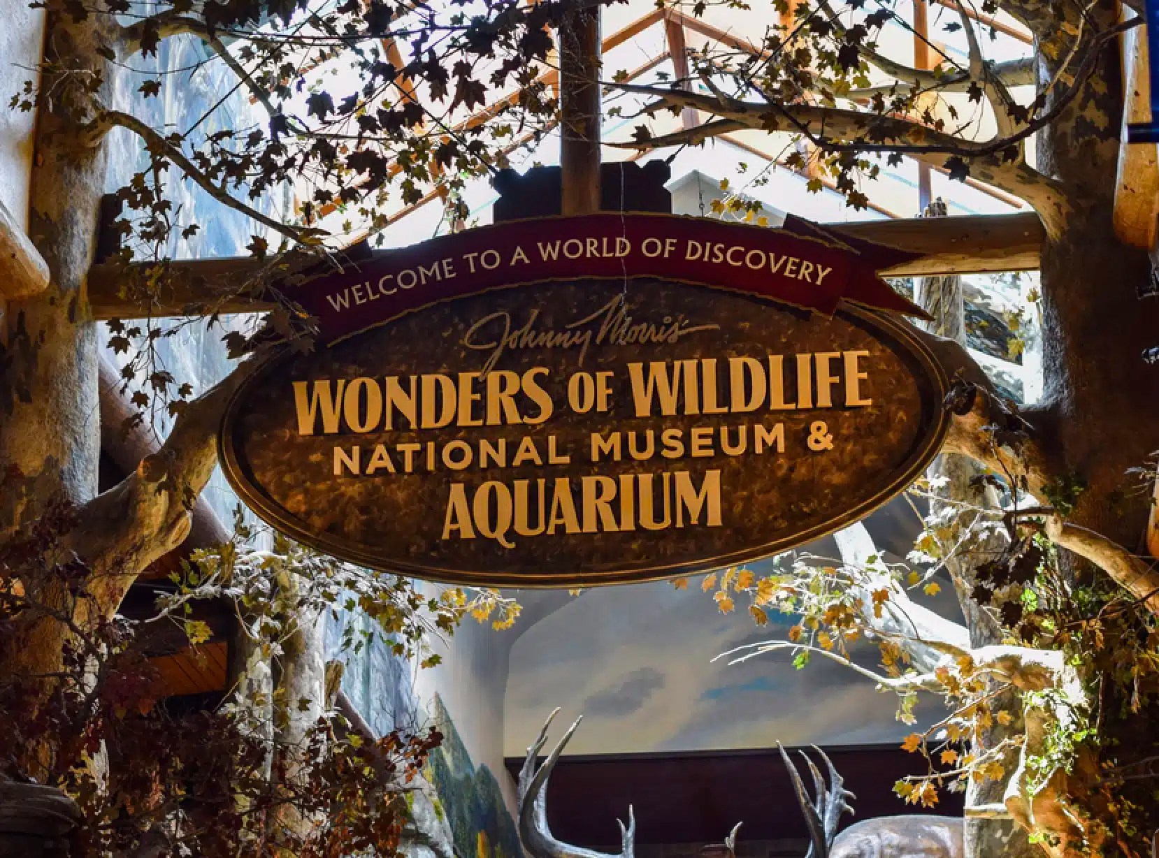 Are Dogs Allowed in Bass Pro Shops in Missouri? DogCareLife