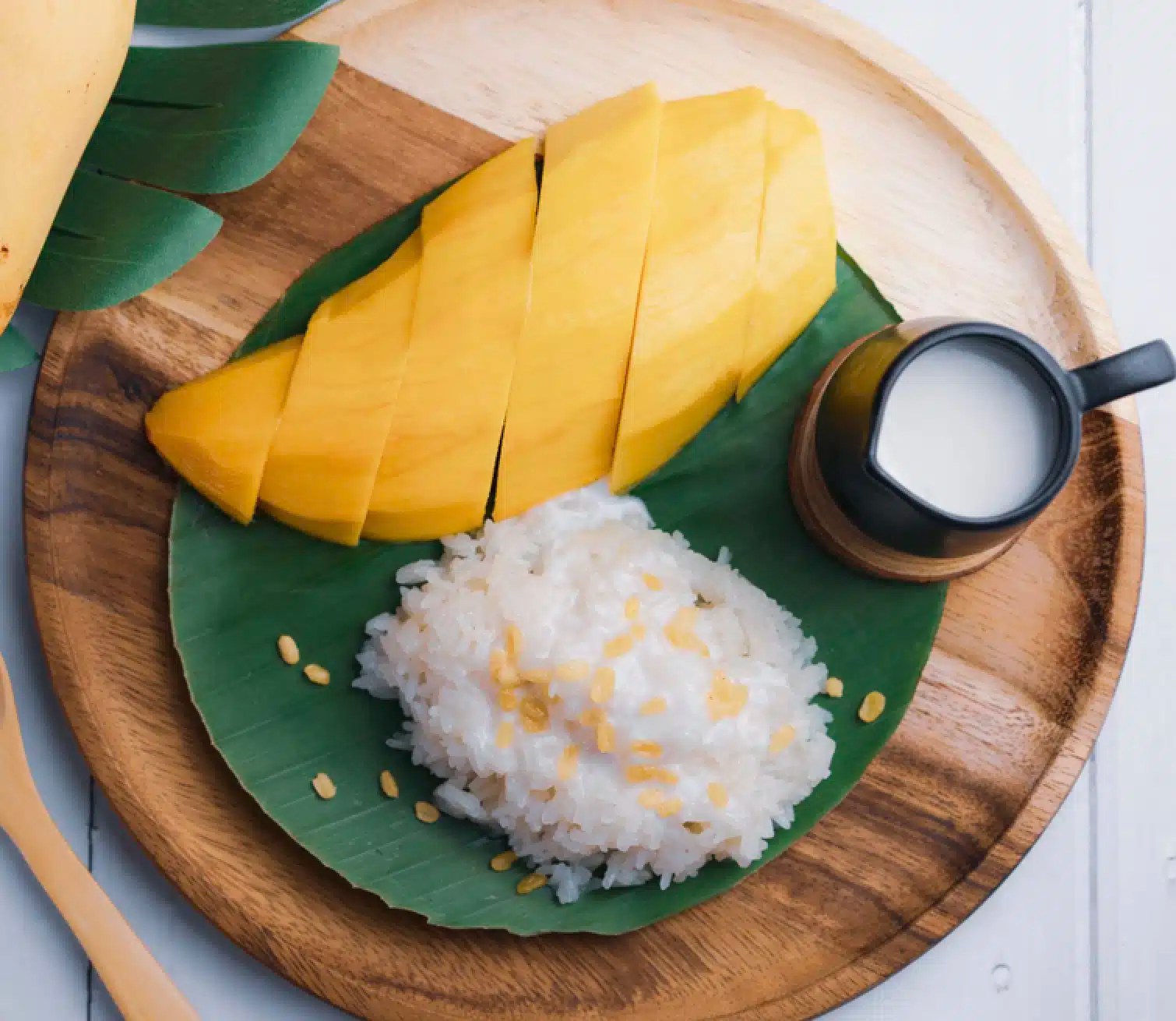 Dog Ate Sticky Rice Usually OK on Accident, Not a Meal Substitute