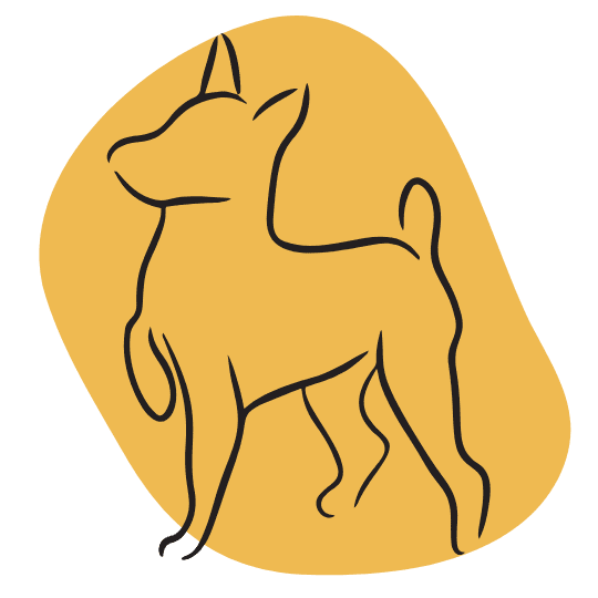 20.png Dogcenter.ch Hundeschule Zürich