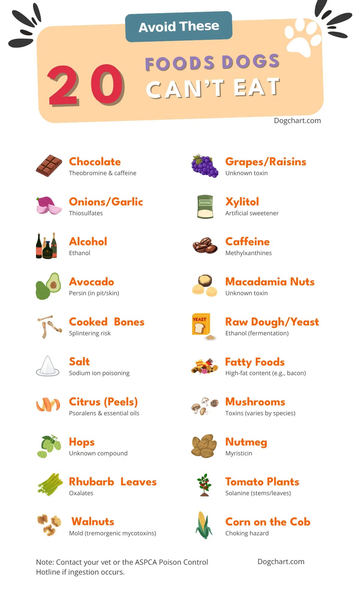Foods Dogs Can't Eat Chart | 20 Foods List Fruits & Veggies