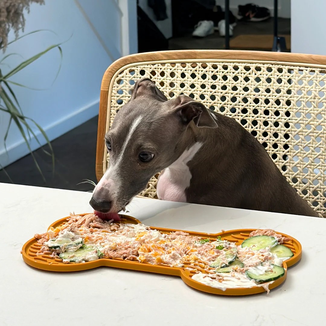 8 Fun Easy Lick Mat Recipes that Your Dog Will Love Dog Child