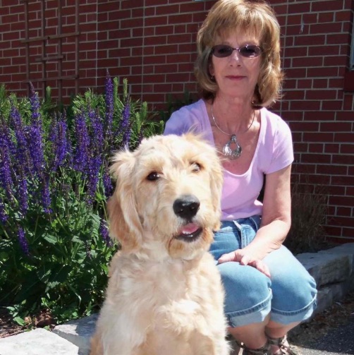 Testimonials Amy Ammen Amiable Dog Training Milwaukee & Honolulu