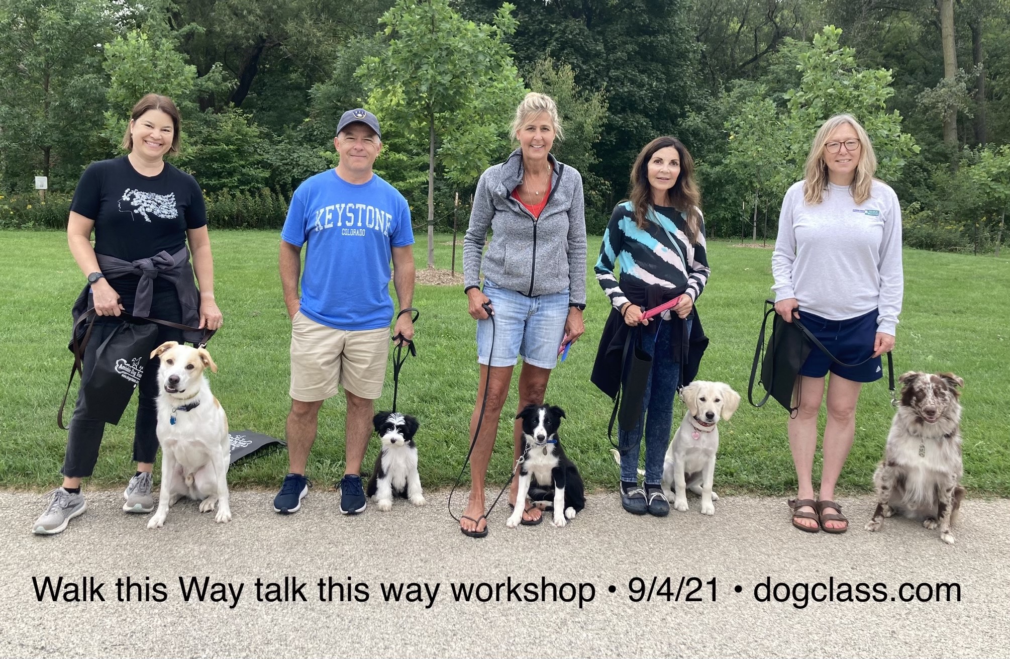 Train Your Dog Amy Ammen Amiable Dog Training Milwaukee & Honolulu