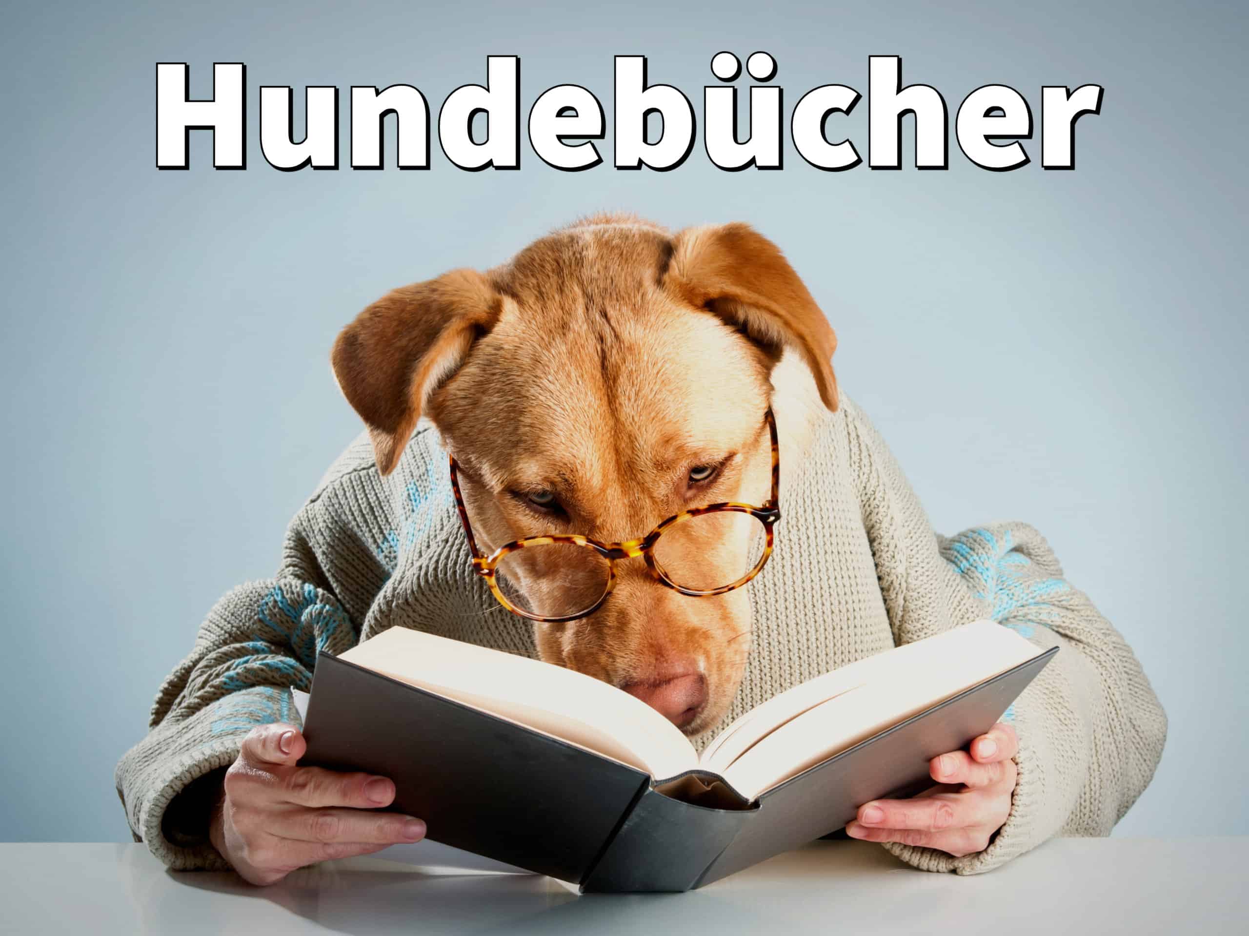 Hundebücher Bestseller, Ratgeber und Neuerscheinungen 2021