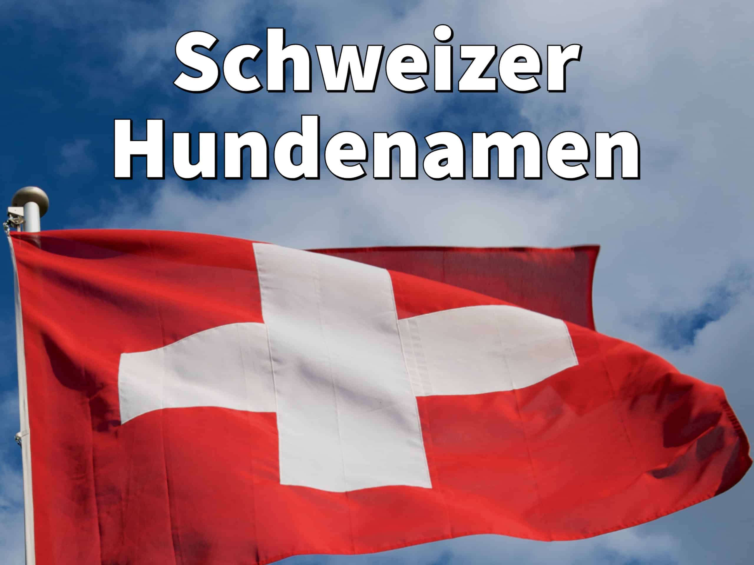 Schweizer Hundenamen Weiblich und männlich mit Bedeutung