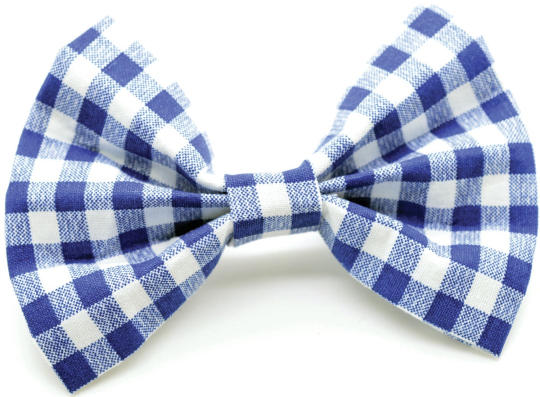 Blue Gingham Bow Tie