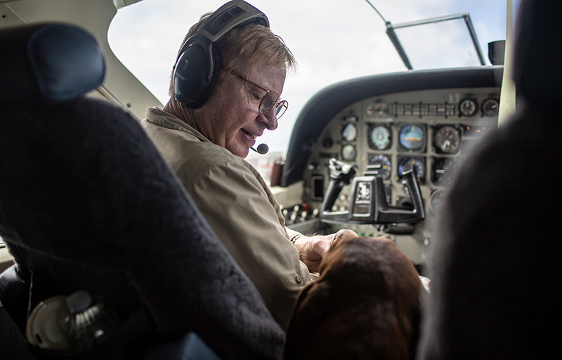In The News Dog Is My CoPilot