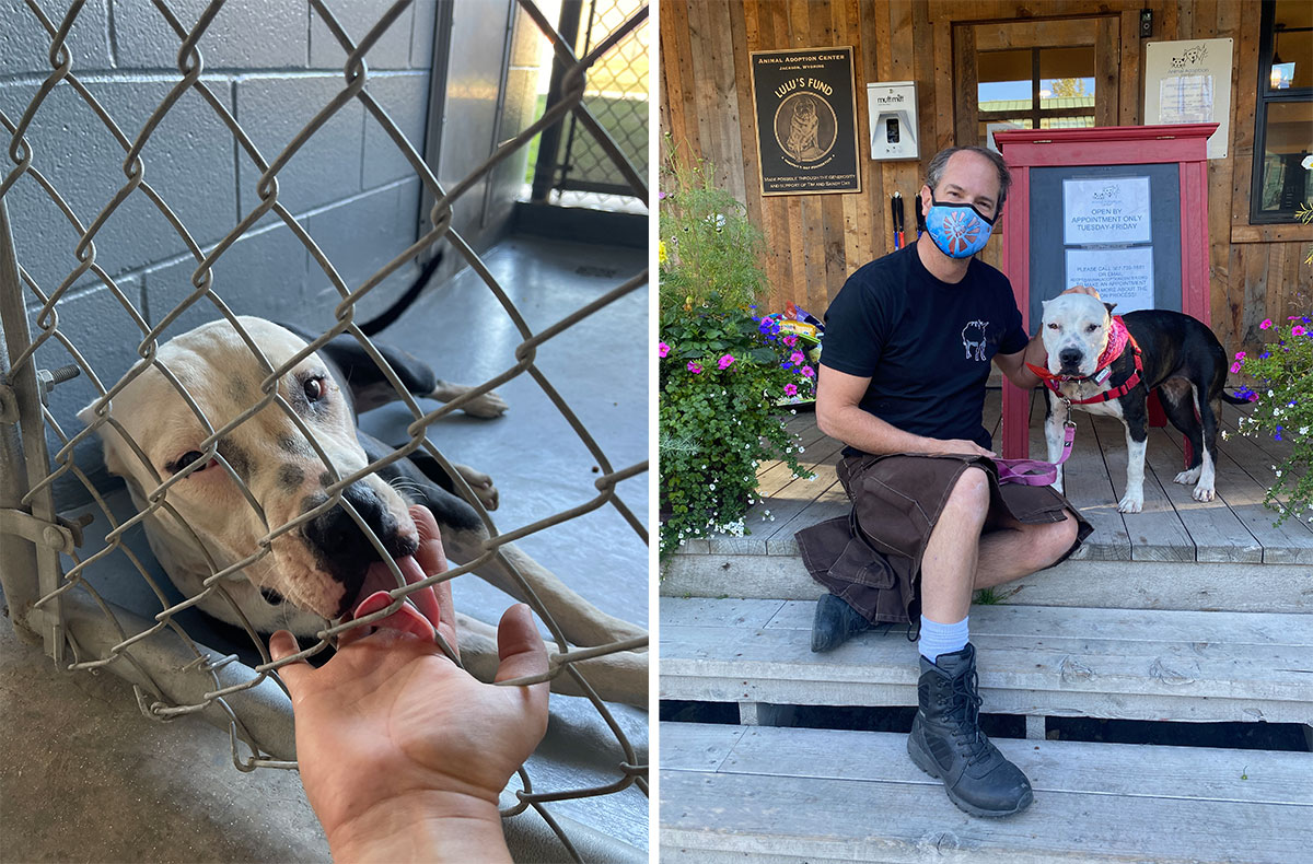 life animal rescue polson Delena Bender