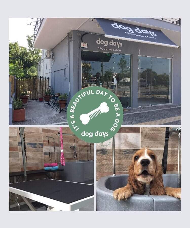 Dog Days Grooming Salon