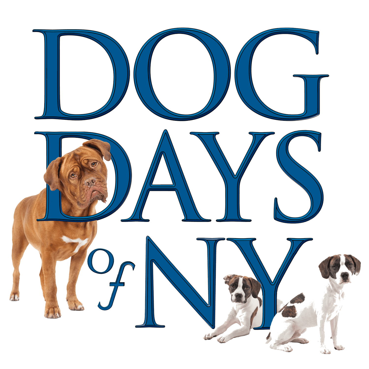 Dog Days of new York Dog Daycare on the Upper West Side