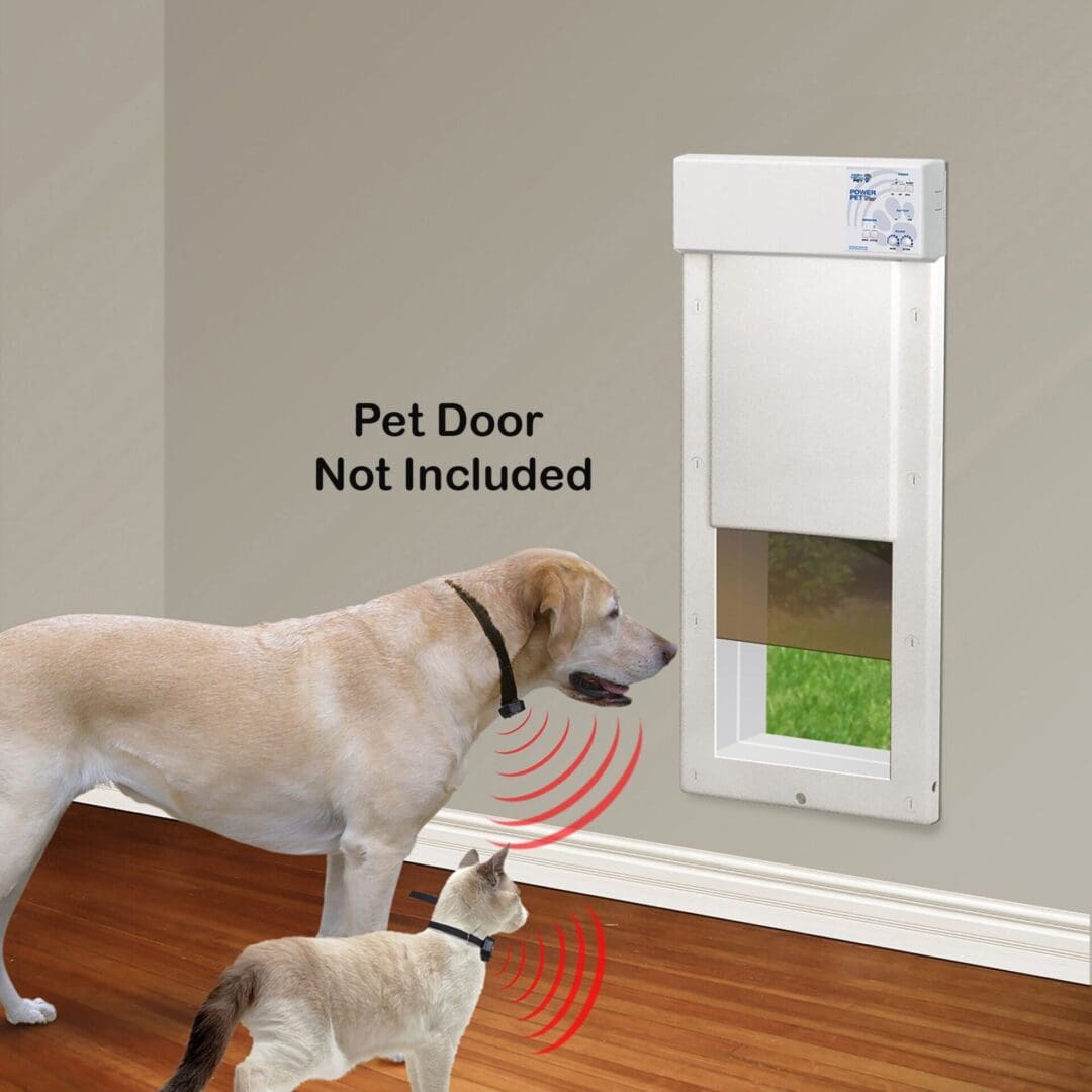 High Tech Power Pet WiFi Large PX 2 Smart Access for Your Pet