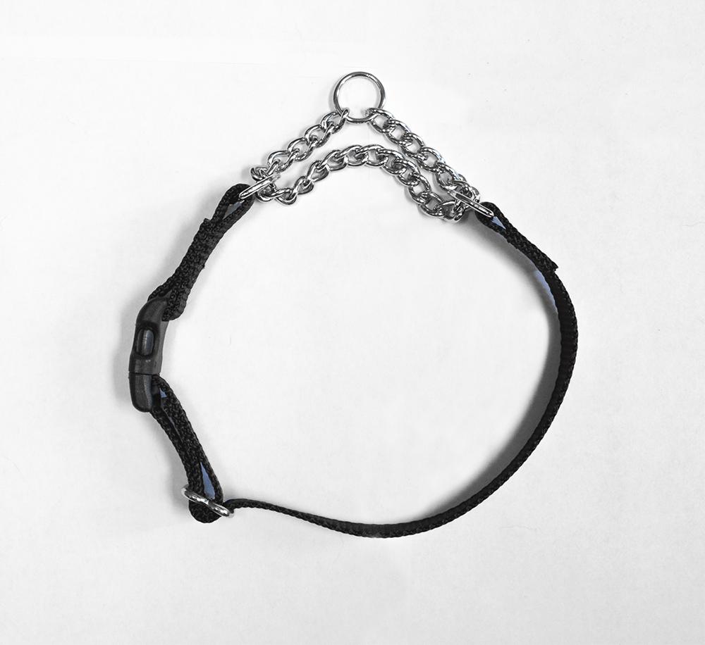 Martingale Training Collar Dogenality