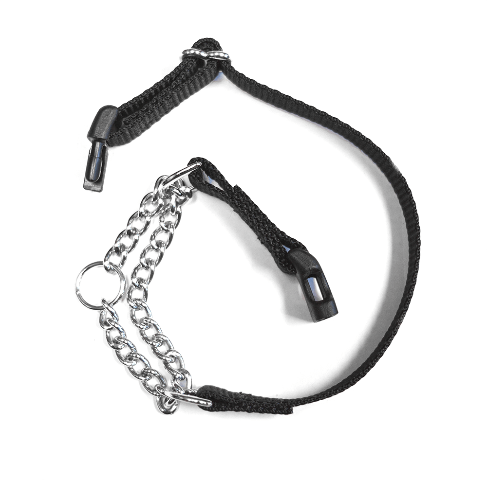 Martingale Training Collar Dogenality