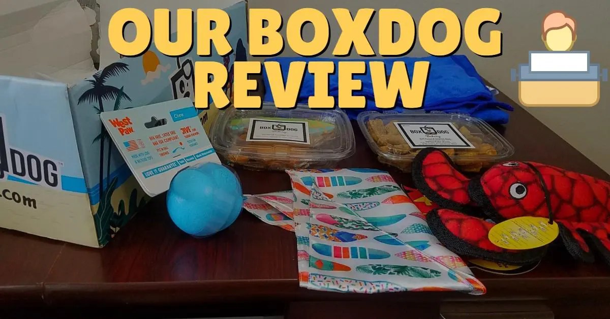 Our BoxDog Review The Unboxing Dog Endorsed