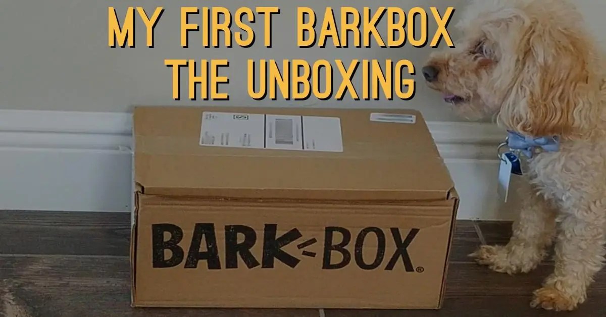 My First BarkBox The Unboxing Dog Endorsed