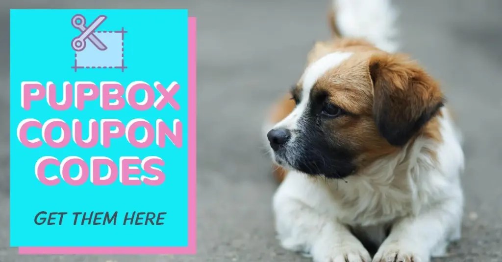 PupBox Coupon Code Verified June 2023 Get Deals and Promos Dog Endorsed