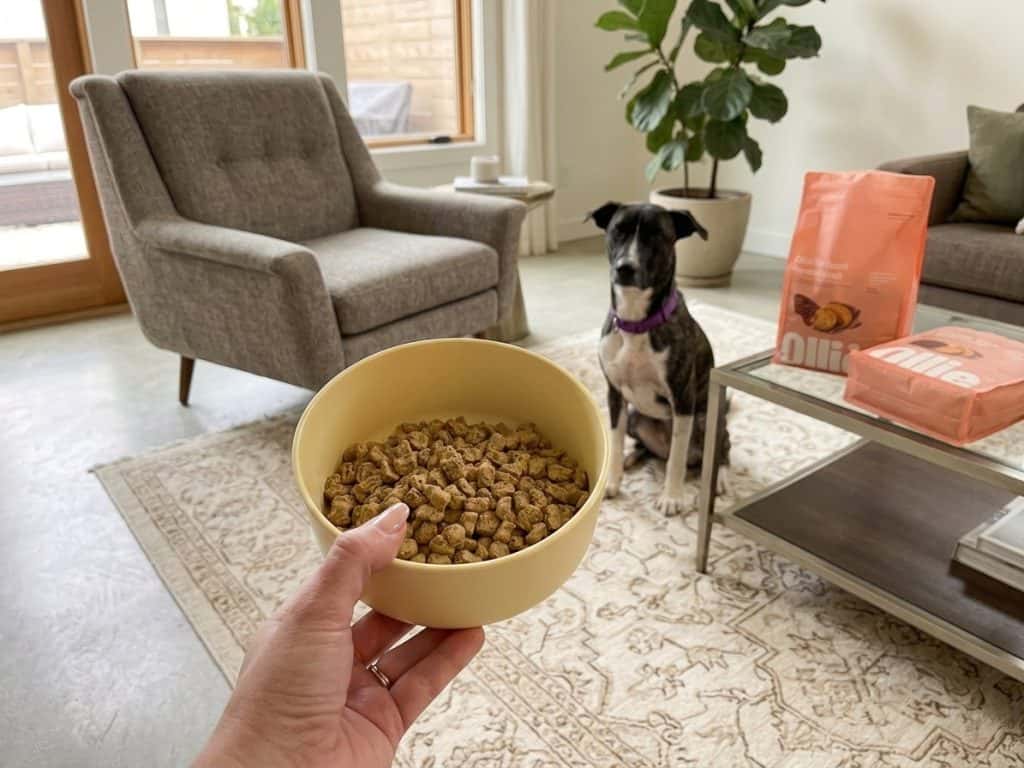 Crisp & Nutritious: Best Baked Dog Food Brands 14 Best Baked Dog Food Brands