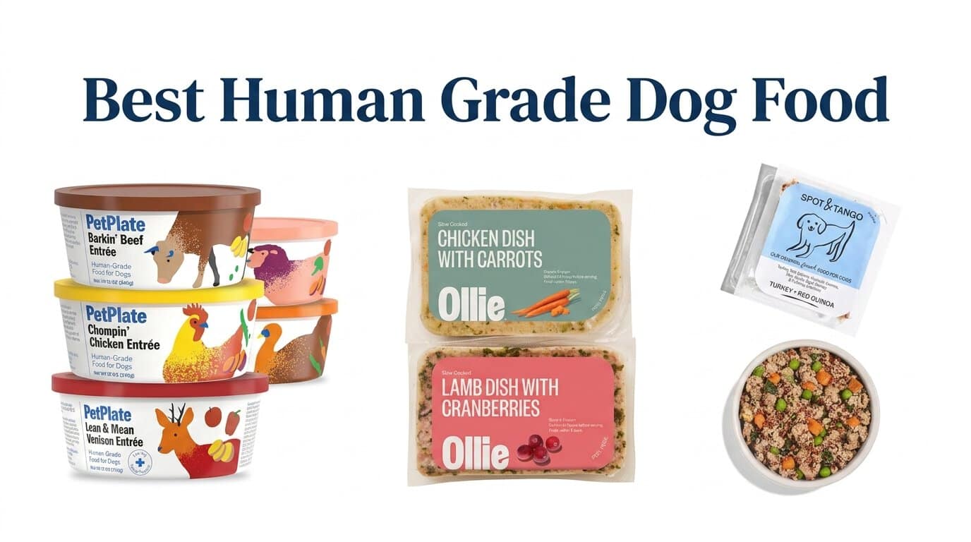 Dog Food Guide 1 Best Human Grade Dog Food