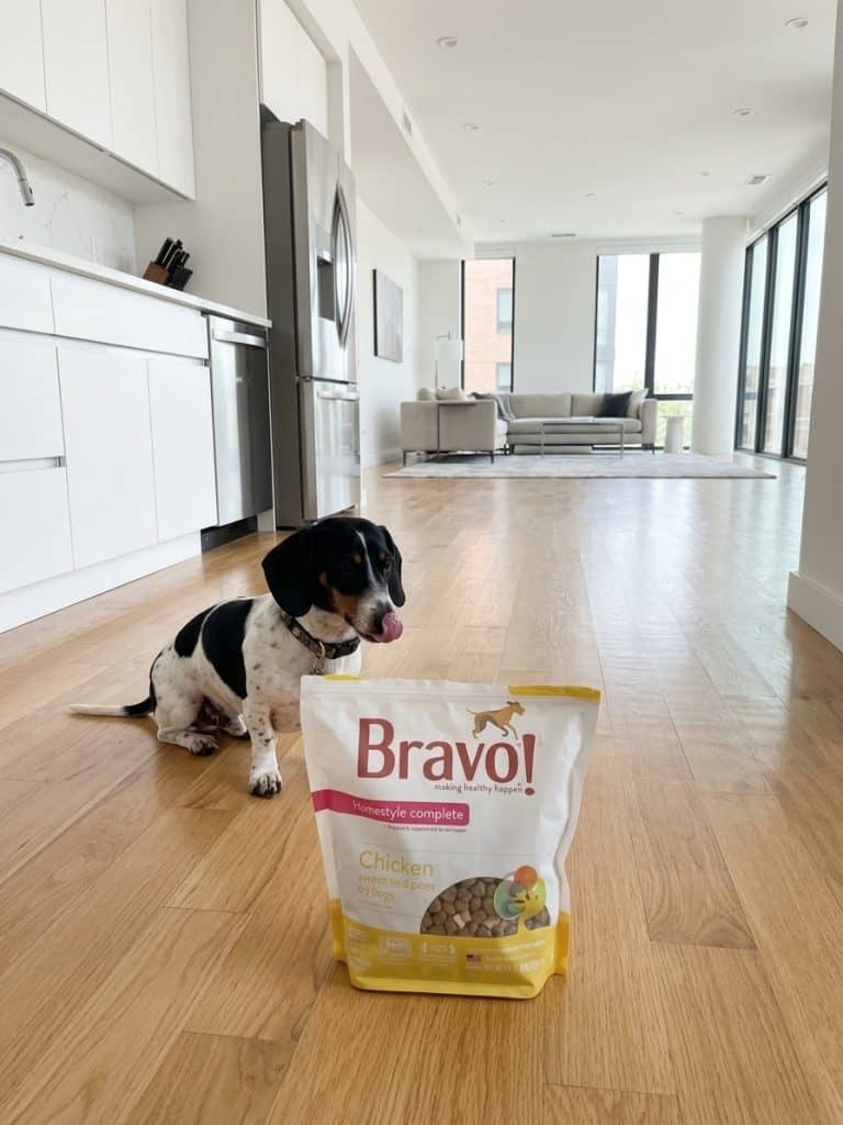 Bravo Dog Food Reviews: 5 Best Picks for Strong, Healthy Dogs 9 Bravo Dog Food Reviews