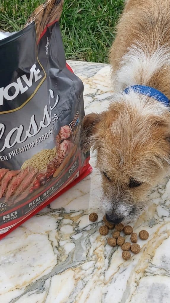 Evolve Dog Food Review: Comprehensive Analysis of 10 Top-Rated Recipes 9 Evolve Dog Food Review