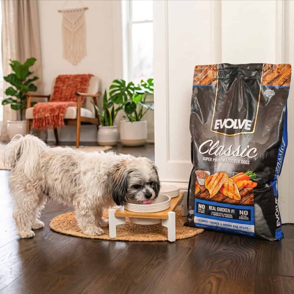 Evolve Dog Food Review: Comprehensive Analysis of 10 Top-Rated Recipes 13 Evolve Dog Food Review