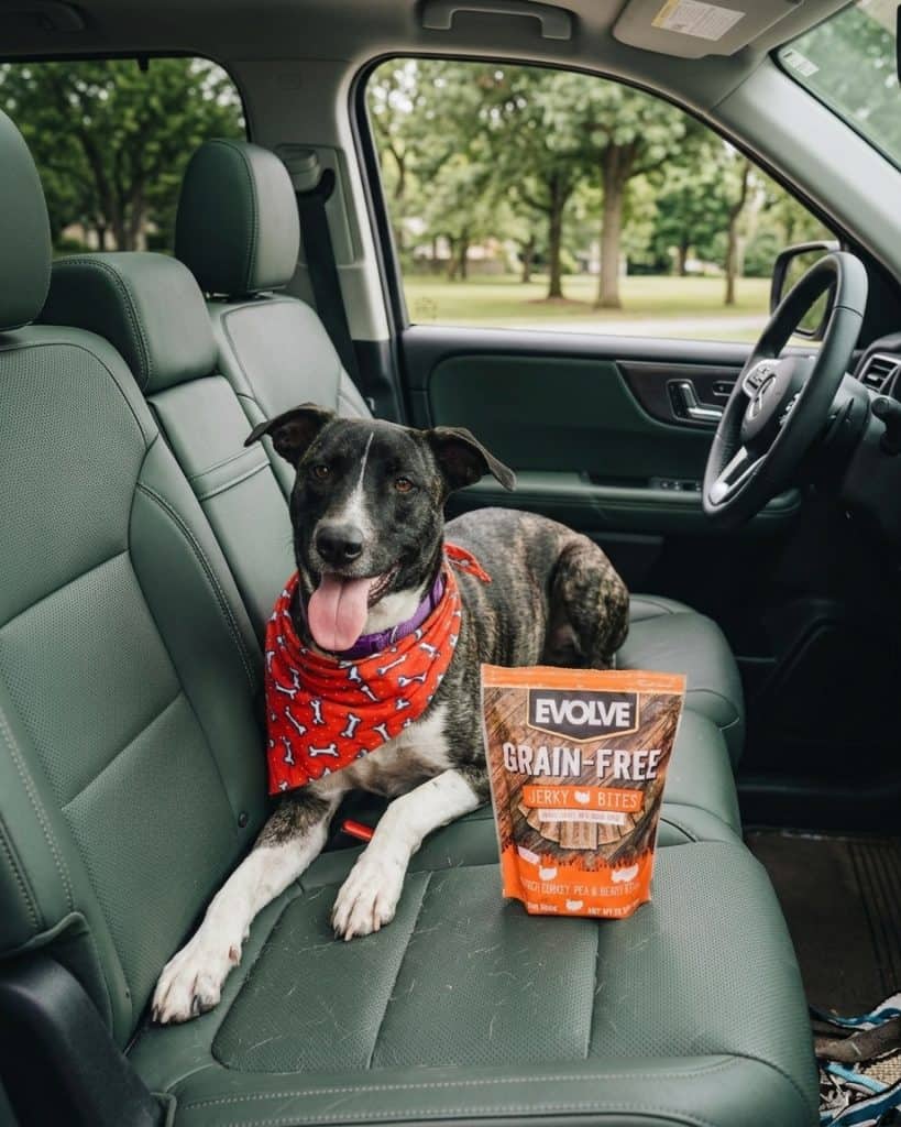 Evolve Dog Food Review: Comprehensive Analysis of 10 Top-Rated Recipes 15 Evolve Dog Food Review