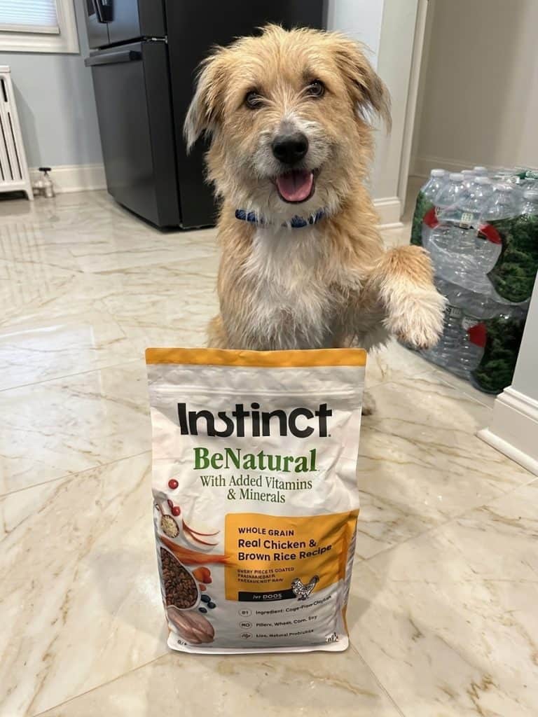 Best Dog Food with Chicken and Rice: 10 Delicious and Nutritious Picks 13 Best Dog Food with Chicken and Rice