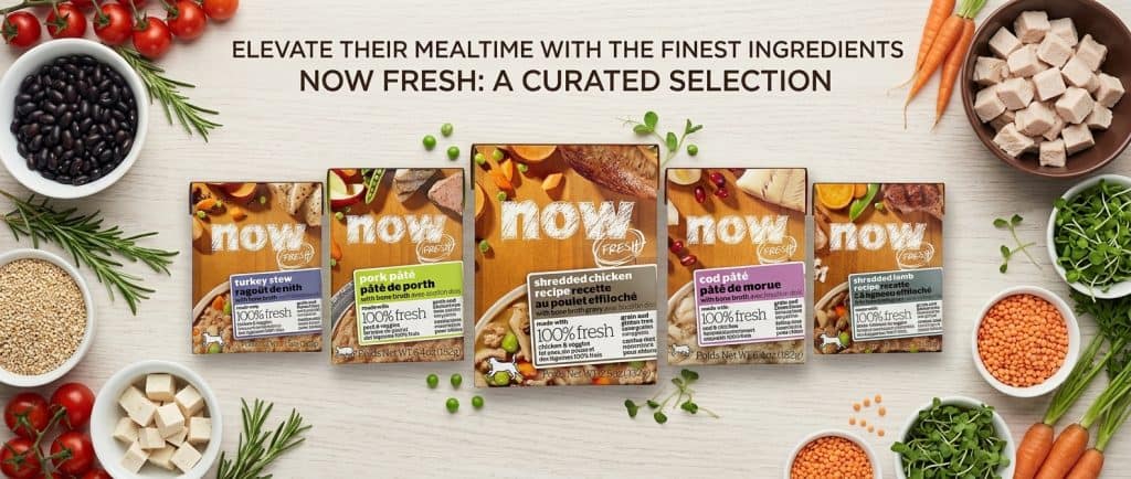 Now Fresh Dog Food Review: The Freshest Option for your Pet? 18 Now Fresh Dog Food Review