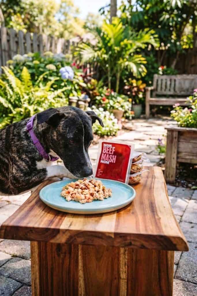 Best Wet Dog Food: Top 7 Nutrient-Rich Picks for Your Pup 21 Best Wet Dog Food