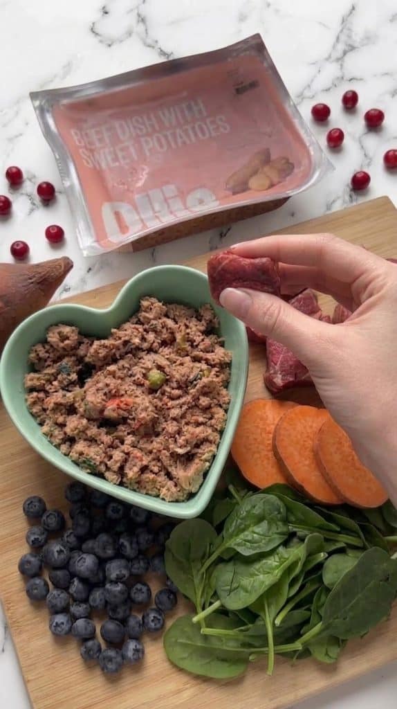Best Soy Free Dog Food: Top Healthy & Allergy-Friendly Options for Your Pet 16 Soy Free Dog Food